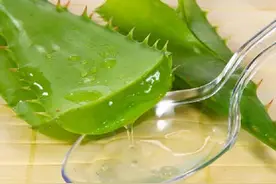 皮肤美容保湿用芦荟效果真的很好吗？图片