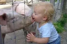 145X154÷D2:1G花费了几年的时间才整明白其中含义图片