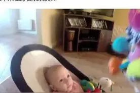 狗狗抢孩子玩具，然后愧疚的归还图片