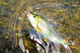 非常有意境的钓鱼广告，国产鱼竿要加油啊！图片