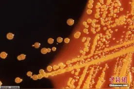 外媒：伦敦公共交通卫生情况差 到处是“大肠杆菌”图片