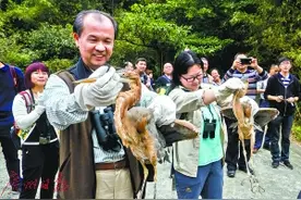 佛山市南海区85只野生动物重归山林中 拥抱大自然图片