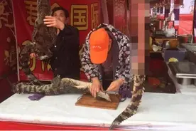 合肥一摊点当街宰杀鳄鱼现烤现卖，老板称是人工养殖暹罗鳄图片