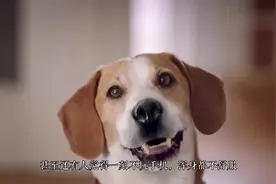 美国人不爱低头玩手机，中国人却恰恰相反，这难道也有地域差异？