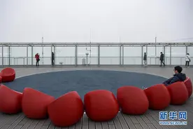 法国因空气污染重启机动车单双号限行措施图片