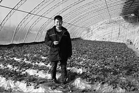 梦想过田园生活 90后小伙真的当起“农场主”图片