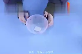 桂圆皮扔掉很可惜，它的这个妙用生活中都用得到，省时省力又省心