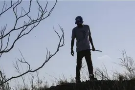 印度两部落男子成美国佛州捕蛇能手为当地除蟒害图片