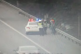 俄罗斯情侣步行去昆明旅游 误用导航上了成雅高速图片