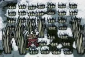 《饥荒刷材料大全》刷草篇