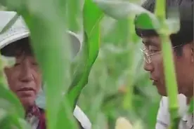 上过非诚勿扰的玉米哥又上CCTV了！