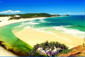 钟洁—《何必再忆》