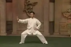 陈正雷大师示范陈式太极拳老架一路74式（口令版）