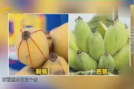 一直困扰很多人的问题，香蕉和芭蕉究竟有什么区别呢？