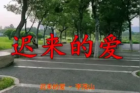 火了《迟来的爱》写实的歌词，欢快好听