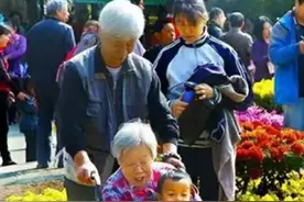 摄影｜轮椅上的爱图片