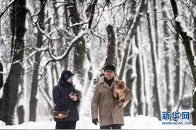 银装素裹的大诺夫哥罗德图片