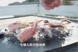美国吃货发明剥蟹神器，秒开蟹钳取肉干净利落！视频封面