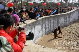临沂动植物园成春节近郊游首选图片