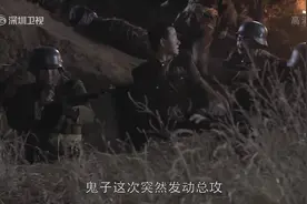 雪豹：南京城破，一个团仅剩十三人