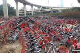 刷新漆、偷车座…… 或有超万辆共享单车受损图片
