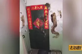 家门口三次被泼粪到底因为点啥？有线索请联系警方！视频封面