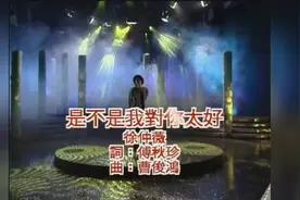 台湾综艺「龙兄虎弟」清新脱俗的女孩徐仲微《是不是我对你太好》视频封面