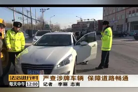 这辆车的车牌子上居然有个铲子？大开眼界！视频封面