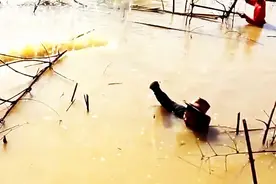 用粘网捕鱼，小时候都这么玩，不过水要比这个清的多图片