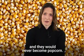 美女解释为什么有些玉米爆不出爆米花？