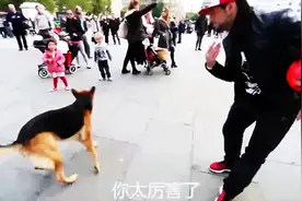 狗vs人的足球大战，藏球的那一刻，狗狗开始蒙圈了！图片