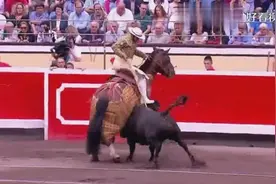 西班牙斗牛：公牛把马都顶起来了，长矛手却趁机深扎，看着都疼！