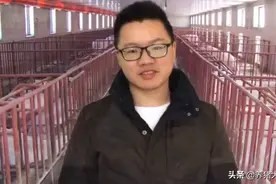 解决母猪子宫炎，一学就会