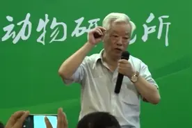 徐有生 猪的解剖步骤（一）视频封面