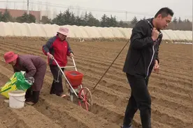 你知道怎么给土地施肥吗？农村小伙去地里现场操作，你见过没有？
