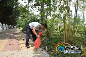 三亚吉阳荔枝沟社区“巩卫”大翻身：荡涤尘埃露新颜图片