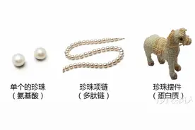 大白话让你明白氨基酸、多肽、鱼蛋白图片