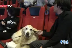 狗主人包场请爱犬观影 呼吁文明养宠图片