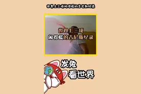 吹泡泡糖也能创造吉尼斯纪录？太奇葩了吧，不得不说，真是闲得慌#发兔看世界 @大吃货发兔 @知识锤 @发兔报道