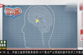 青少年儿童睡眠大数据：儿童睡眠不足八小时，课业压力成主要原因