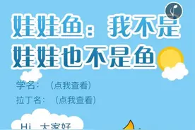 娃娃鱼：我不是娃娃也不是鱼图片