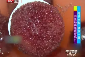 有虫子的杨梅还能吃吗？专家是这样解释的，您可以放心去食用视频封面