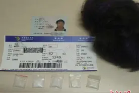 假发里藏冰毒 一名女子携毒在大连机场被查扣图片