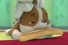 阿宝船长找不到船，海狮前来传话，海狮真聪明