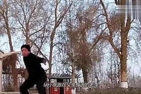 河南50岁大叔习武20年，实力演绎“快准狠”，网友：给他点个赞！视频封面