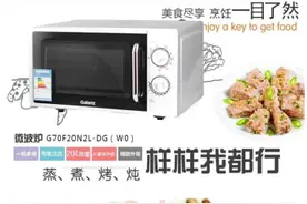 春节回家露一手 格兰仕光波炉国美在线仅售399元图片