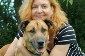 中国宠物报道0304：还挺痴情！流浪狗苦等空姐6个月视频封面