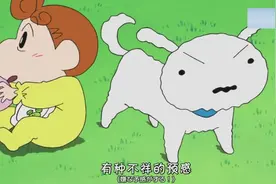 老师说不能带宠物上学，小新说小白是他的家人！视频封面