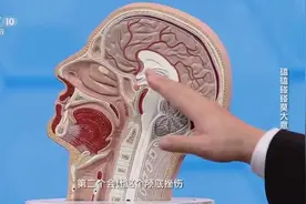 头部磕碰到哪个位置最危险？