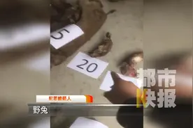 秦岭猎杀野生动物案：上万伏高压电击 熊掌论斤收购视频封面